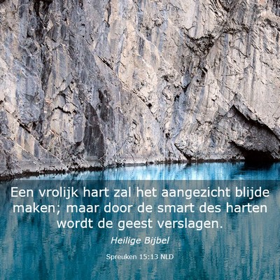 Picture 03 - Spreuken 15:13 NLD - Een vrolijk hart zal het aangezicht blijde maken; - Bible Verse Picture
