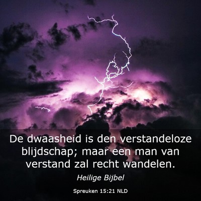 Picture 03 - Spreuken 15:21 NLD - De dwaasheid is den verstandeloze blijdschap; - Bible Verse Picture