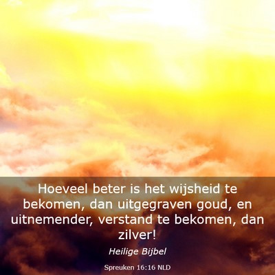 Picture 03 - Spreuken 16:16 NLD - Hoeveel beter is het wijsheid te bekomen, dan - Bible Verse Picture