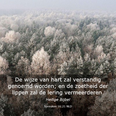 Picture 03 - Spreuken 16:21 NLD - De wijze van hart zal verstandig genoemd worden; - Bible Verse Picture