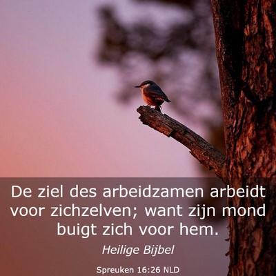 Picture 03 - Spreuken 16:26 NLD - De ziel des arbeidzamen arbeidt voor zichzelven; - Bible Verse Picture