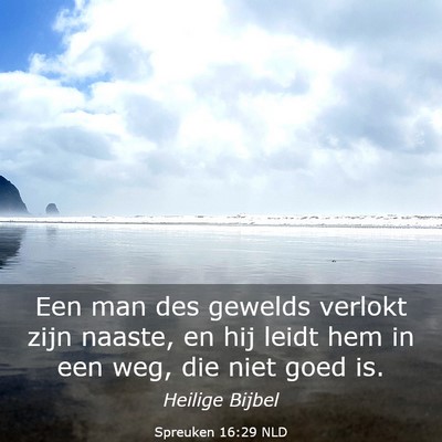 Picture 03 - Spreuken 16:29 NLD - Een man des gewelds verlokt zijn naaste, en hij - Bible Verse Picture