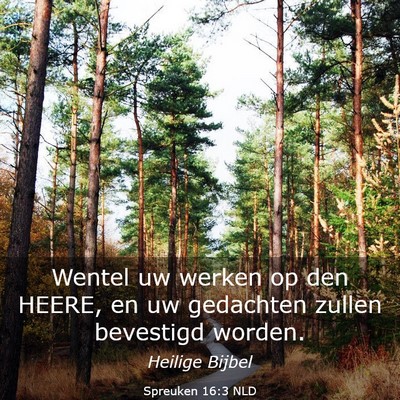 Picture 03 - Spreuken 16:3 NLD - Wentel uw werken op den HEERE, en uw gedachten - Bible Verse Picture
