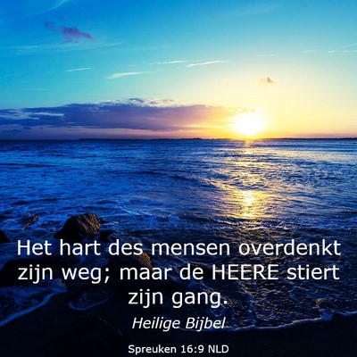 Picture 03 - Spreuken 16:9 NLD - Het hart des mensen overdenkt zijn weg; maar de - Bible Verse Picture