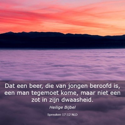 Picture 03 - Spreuken 17:12 NLD - Dat een beer, die van jongen beroofd is, een man - Bible Verse Picture