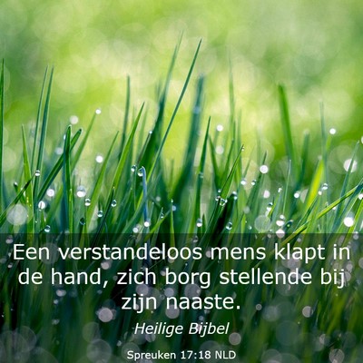 Picture 03 - Spreuken 17:18 NLD - Een verstandeloos mens klapt in de hand, zich - Bible Verse Picture