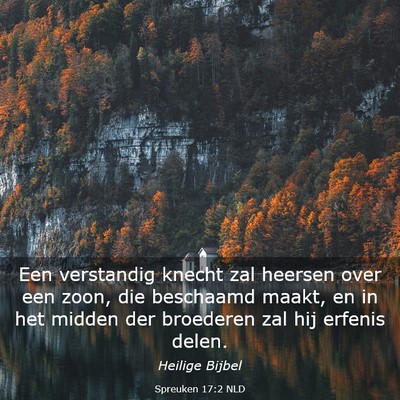 Picture 03 - Spreuken 17:2 NLD - Een verstandig knecht zal heersen over een zoon, - Bible Verse Picture