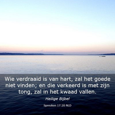 Picture 03 - Spreuken 17:20 NLD - Wie verdraaid is van hart, zal het goede niet - Bible Verse Picture