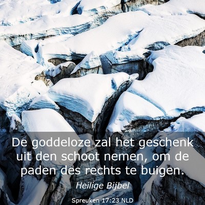 Picture 03 - Spreuken 17:23 NLD - De goddeloze zal het geschenk uit den schoot - Bible Verse Picture