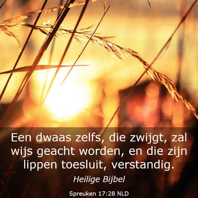 Picture 03 - Spreuken 17:28 NLD - Een dwaas zelfs, die zwijgt, zal wijs geacht - Bible Verse Picture