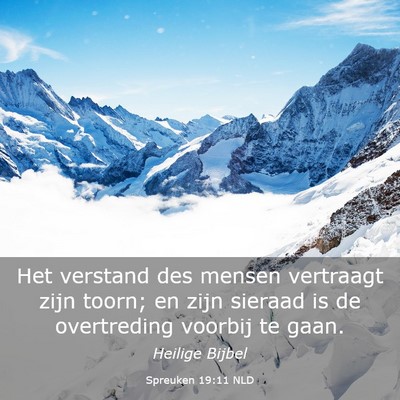 Picture 03 - Spreuken 19:11 NLD - Het verstand des mensen vertraagt zijn toorn; en - Bible Verse Picture