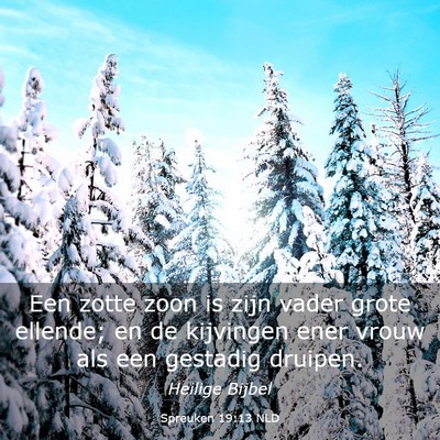 Picture 03 - Spreuken 19:13 NLD - Een zotte zoon is zijn vader grote ellende; en de - Bible Verse Picture