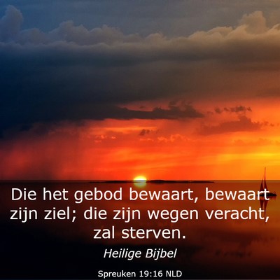 Picture 03 - Spreuken 19:16 NLD - Die het gebod bewaart, bewaart zijn ziel; die - Bible Verse Picture