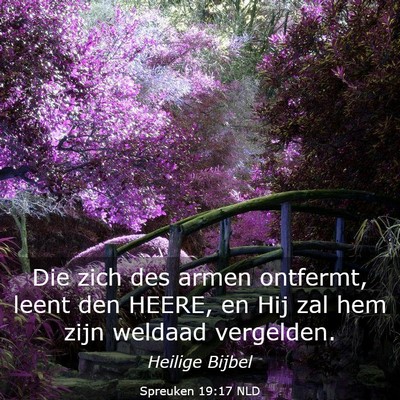 Picture 03 - Spreuken 19:17 NLD - Die zich des armen ontfermt, leent den HEERE, en - Bible Verse Picture