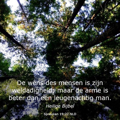 Picture 03 - Spreuken 19:22 NLD - De wens des mensen is zijn weldadigheid; maar de - Bible Verse Picture
