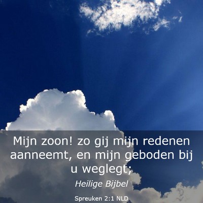 Picture 03 - Spreuken 2:1 NLD - Mijn zoon! zo gij mijn redenen aanneemt, en mijn - Bible Verse Picture