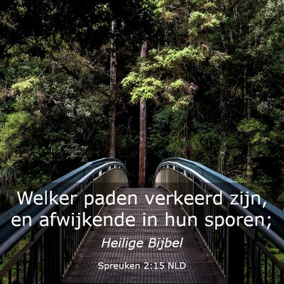 Picture 03 - Spreuken 2:15 NLD - Welker paden verkeerd zijn, en afwijkende in hun - Bible Verse Picture