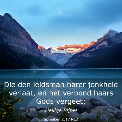 Picture 03 - Spreuken 2:17 NLD - Die den leidsman harer jonkheid verlaat, en het - Bible Verse Picture