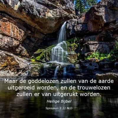 Picture 03 - Spreuken 2:22 NLD - Maar de goddelozen zullen van de aarde uitgeroeid - Bible Verse Picture