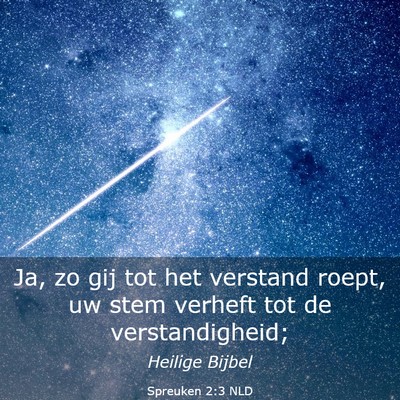 Picture 03 - Spreuken 2:3 NLD - Ja, zo gij tot het verstand roept, uw stem - Bible Verse Picture
