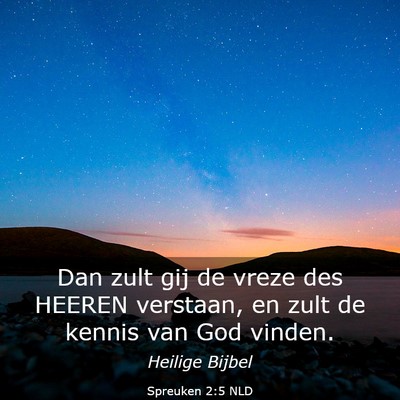Picture 03 - Spreuken 2:5 NLD - Dan zult gij de vreze des HEEREN verstaan, en - Bible Verse Picture