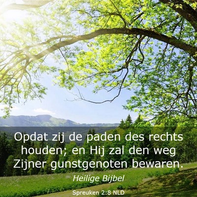 Picture 03 - Spreuken 2:8 NLD - Opdat zij de paden des rechts houden; en Hij zal - Bible Verse Picture