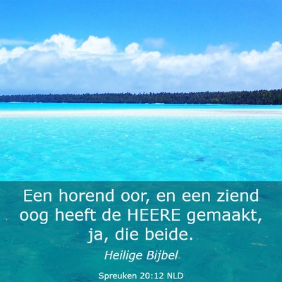 Picture 03 - Spreuken 20:12 NLD - Een horend oor, en een ziend oog heeft de HEERE - Bible Verse Picture