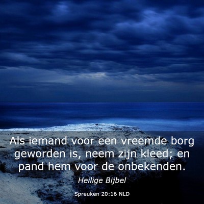 Picture 03 - Spreuken 20:16 NLD - Als iemand voor een vreemde borg geworden is, - Bible Verse Picture