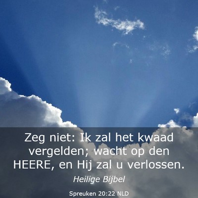 Picture 03 - Spreuken 20:22 NLD - Zeg niet: Ik zal het kwaad vergelden; wacht op - Bible Verse Picture