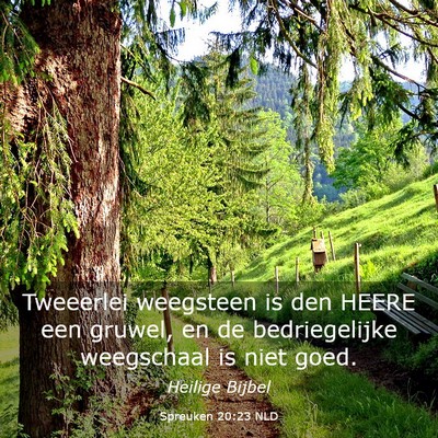 Picture 03 - Spreuken 20:23 NLD - Tweeerlei weegsteen is den HEERE een gruwel, en - Bible Verse Picture