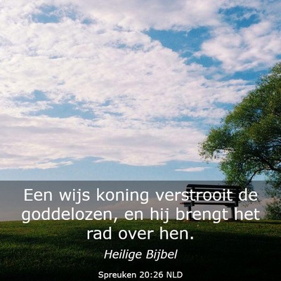 Picture 03 - Spreuken 20:26 NLD - Een wijs koning verstrooit de goddelozen, en hij - Bible Verse Picture