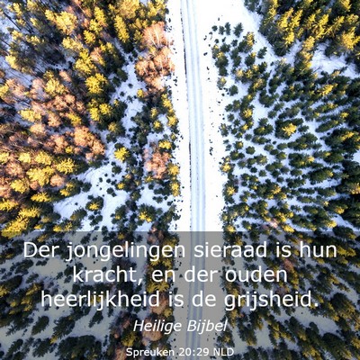 Picture 03 - Spreuken 20:29 NLD - Der jongelingen sieraad is hun kracht, en der - Bible Verse Picture