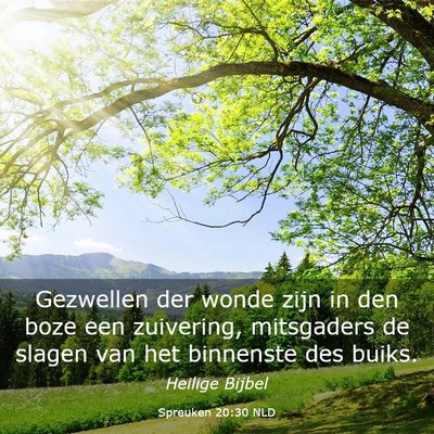 Picture 03 - Spreuken 20:30 NLD - Gezwellen der wonde zijn in den boze een - Bible Verse Picture