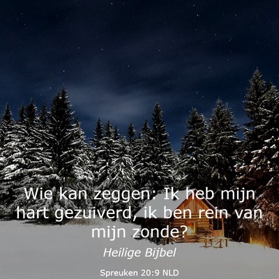 Picture 03 - Spreuken 20:9 NLD - Wie kan zeggen: Ik heb mijn hart gezuiverd, ik - Bible Verse Picture