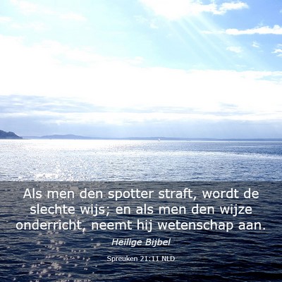Picture 03 - Spreuken 21:11 NLD - Als men den spotter straft, wordt de slechte - Bible Verse Picture