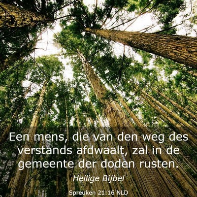 Picture 03 - Spreuken 21:16 NLD - Een mens, die van den weg des verstands afdwaalt, - Bible Verse Picture