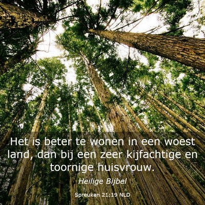 Picture 03 - Spreuken 21:19 NLD - Het is beter te wonen in een woest land, dan bij - Bible Verse Picture