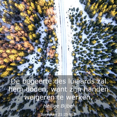 Picture 03 - Spreuken 21:25 NLD - De begeerte des luiaards zal hem doden, want zijn - Bible Verse Picture
