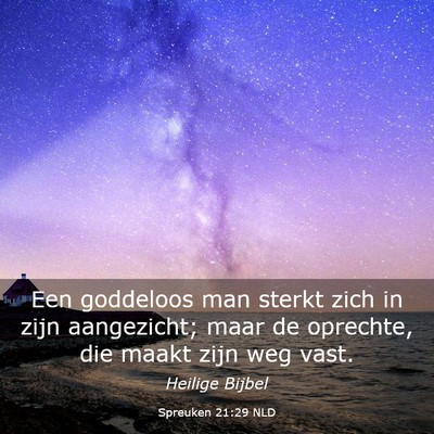 Picture 03 - Spreuken 21:29 NLD - Een goddeloos man sterkt zich in zijn aangezicht; - Bible Verse Picture