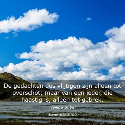 Picture 03 - Spreuken 21:5 NLD - De gedachten des vlijtigen zijn alleen tot - Bible Verse Picture
