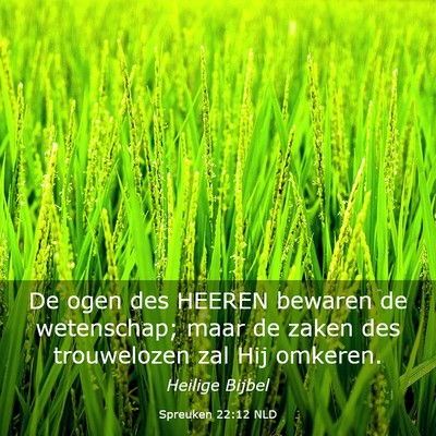 Picture 03 - Spreuken 22:12 NLD - De ogen des HEEREN bewaren de wetenschap; maar de - Bible Verse Picture