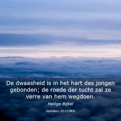 Picture 03 - Spreuken 22:15 NLD - De dwaasheid is in het hart des jongen gebonden; - Bible Verse Picture