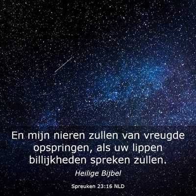 Picture 03 - Spreuken 23:16 NLD - En mijn nieren zullen van vreugde opspringen, als - Bible Verse Picture