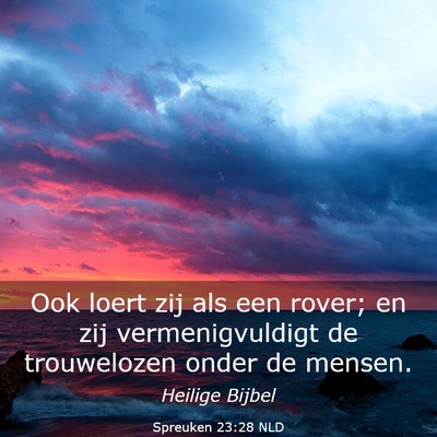Picture 03 - Spreuken 23:28 NLD - Ook loert zij als een rover; en zij - Bible Verse Picture