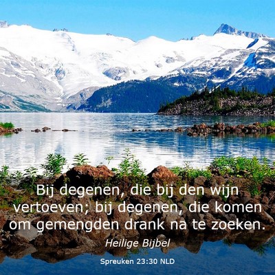 Picture 03 - Spreuken 23:30 NLD - Bij degenen, die bij den wijn vertoeven; bij - Bible Verse Picture