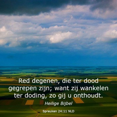 Picture 03 - Spreuken 24:11 NLD - Red degenen, die ter dood gegrepen zijn; want zij - Bible Verse Picture