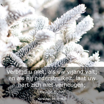 Picture 03 - Spreuken 24:17 NLD - Verblijd u niet, als uw vijand valt; en als hij - Bible Verse Picture