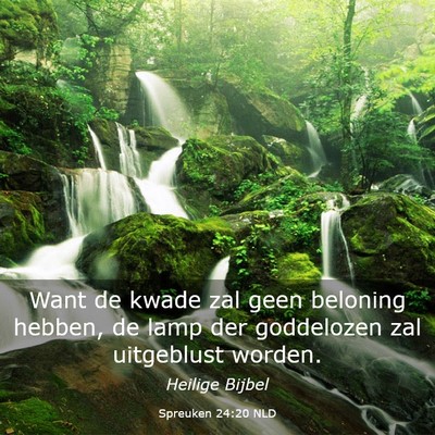 Picture 03 - Spreuken 24:20 NLD - Want de kwade zal geen beloning hebben, de lamp - Bible Verse Picture