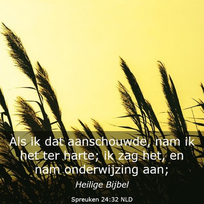 Picture 03 - Spreuken 24:32 NLD - Als ik dat aanschouwde, nam ik het ter harte; ik - Bible Verse Picture