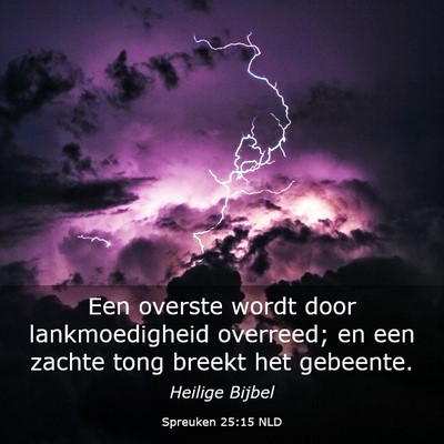 Picture 03 - Spreuken 25:15 NLD - Een overste wordt door lankmoedigheid overreed; - Bible Verse Picture